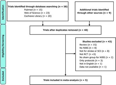 The effects of robot-assisted gait training combined with non-invasive brain stimulation on lower limb function in patients with stroke and spinal cord injury: A systematic review and meta-analysis